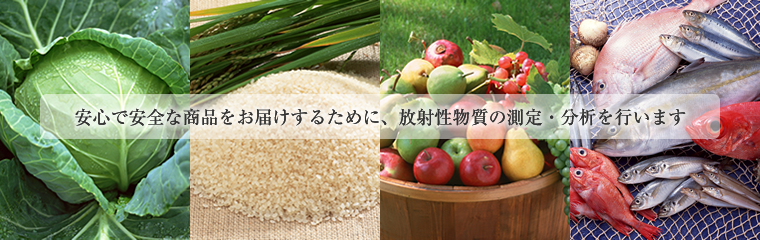 安心で安全な商品をお届けするために、放射性物質の測定・分析を行います